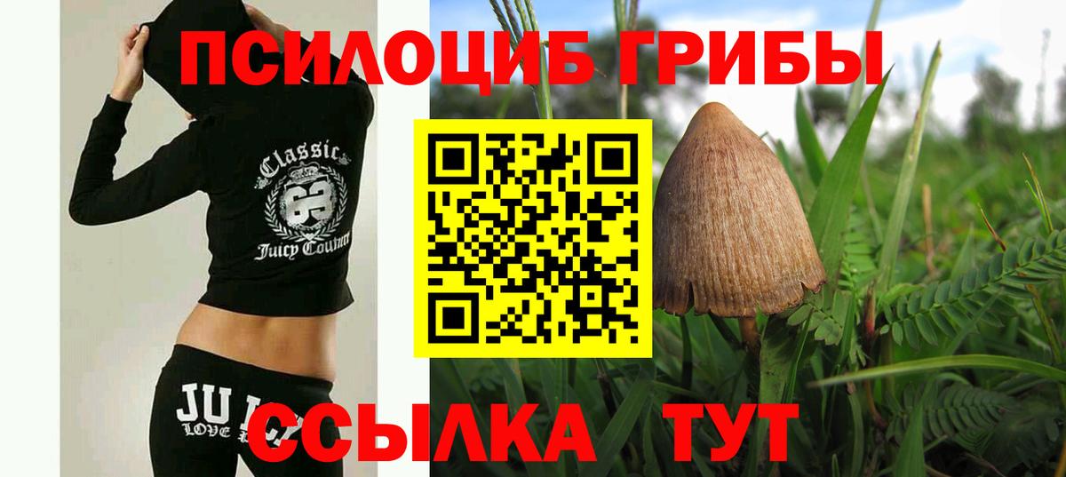 Гай  Псилоцибиновые грибы мицелий  Вход с VPN 